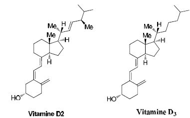Etude de la vitamine Bts 2014