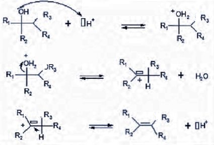 Physique Chimie M canisme R actionnel De L hydrolyse Basique D un Ester Physique Chimie M canisme R actionnel De L hydrolyse Basique D un Ester